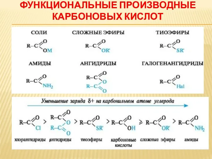 ФУНКЦИОНАЛЬНЫЕ ПРОИЗВОДНЫЕ КАРБОНОВЫХ КИСЛОТ