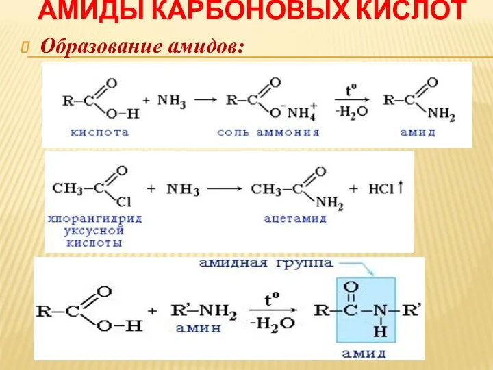 АМИДЫ КАРБОНОВЫХ КИСЛОТ Образование амидов: