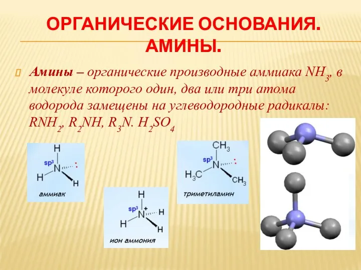 ОРГАНИЧЕСКИЕ ОСНОВАНИЯ. АМИНЫ. Амины – органические производные аммиака NH3, в