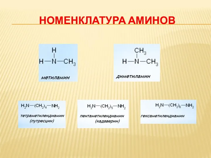 НОМЕНКЛАТУРА АМИНОВ