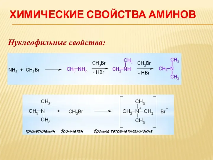 ХИМИЧЕСКИЕ СВОЙСТВА АМИНОВ Нуклеофильные свойства: