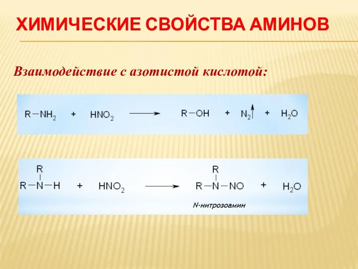 ХИМИЧЕСКИЕ СВОЙСТВА АМИНОВ Взаимодействие с азотистой кислотой: