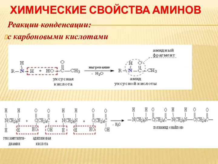 ХИМИЧЕСКИЕ СВОЙСТВА АМИНОВ Реакции конденсации: с карбоновыми кислотами