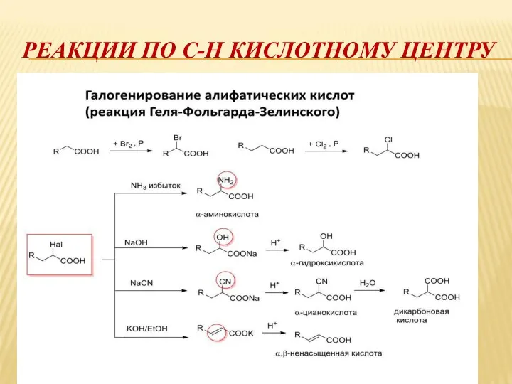 РЕАКЦИИ ПО С-Н КИСЛОТНОМУ ЦЕНТРУ