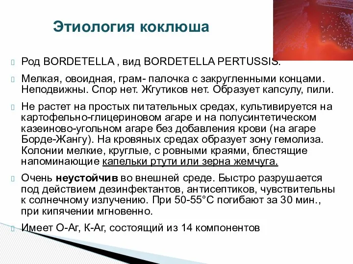 Род BORDETELLA , вид BORDETELLA PERTUSSIS. Мелкая, овоидная, грам- палочка