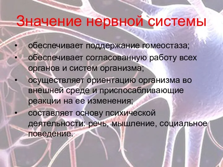 Значение нервной системы обеспечивает поддержание гомеостаза; обеспечивает согласованную работу всех