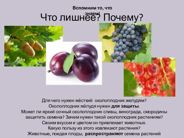 Что лишнее? Почему? Вспомним то, что знаем! Для чего нужен