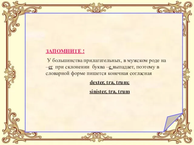 ЗАПОМНИТЕ ! У большинства прилагательных, в мужском роде на –er при склонении буква