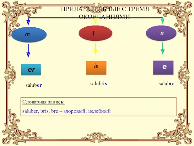 ПРИЛАГАТЕЛЬНЫЕ С ТРЕМЯ ОКОНЧАНИЯМИ f m n er is e