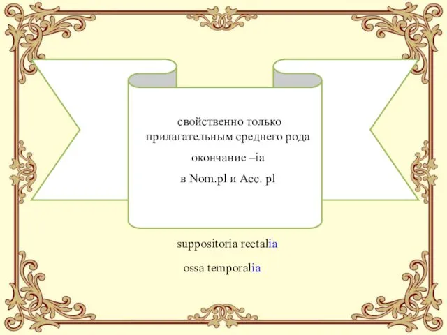 свойственно только прилагательным среднего рода окончание –ia в Nom.pl и Acc. pl suppositoria rectalia ossa temporalia