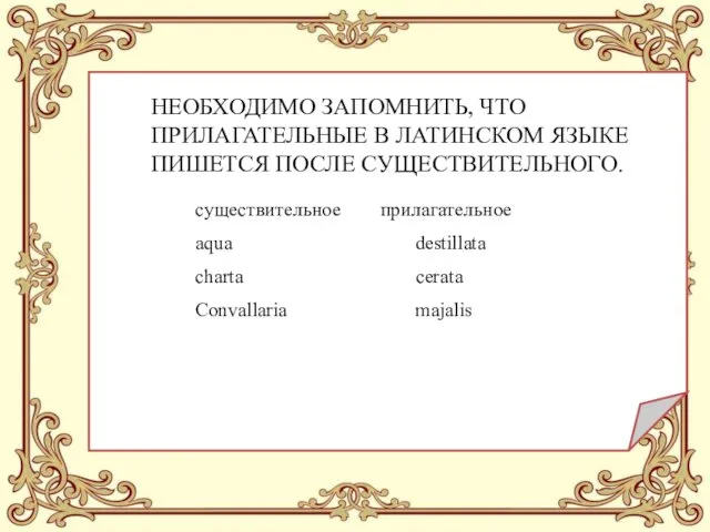 НЕОБХОДИМО ЗАПОМНИТЬ, ЧТО ПРИЛАГАТЕЛЬНЫЕ В ЛАТИНСКОМ ЯЗЫКЕ ПИШЕТСЯ ПОСЛЕ СУЩЕСТВИТЕЛЬНОГО.