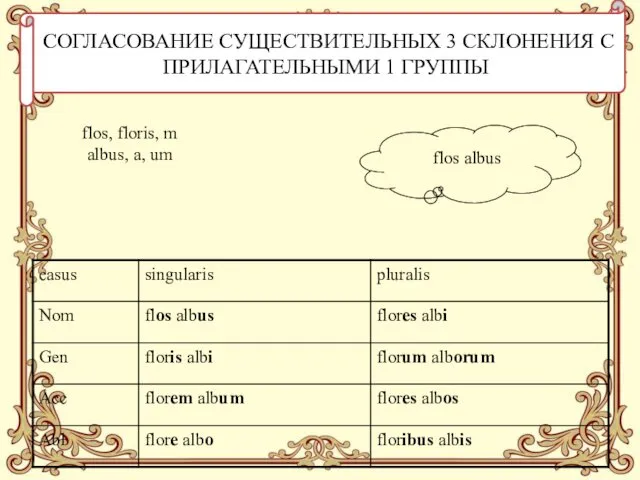 СОГЛАСОВАНИЕ СУЩЕСТВИТЕЛЬНЫХ 3 СКЛОНЕНИЯ С ПРИЛАГАТЕЛЬНЫМИ 1 ГРУППЫ flos albus flos, floris, m albus, a, um