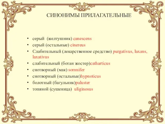 СИНОНИМЫ ПРИЛАГАТЕЛЬНЫЕ серый (желтушник) canescens серый (остальные) cinereus Слабительный (лекарственное средство) purgativus, laxans,