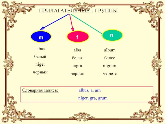 ПРИЛАГАТЕЛЬНЫЕ 1 ГРУППЫ m f n albus белый niger черный alba белая nigra