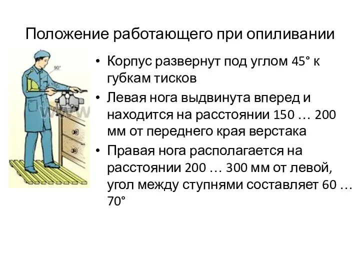 Положение работающего при опиливании Корпус развернут под углом 45° к