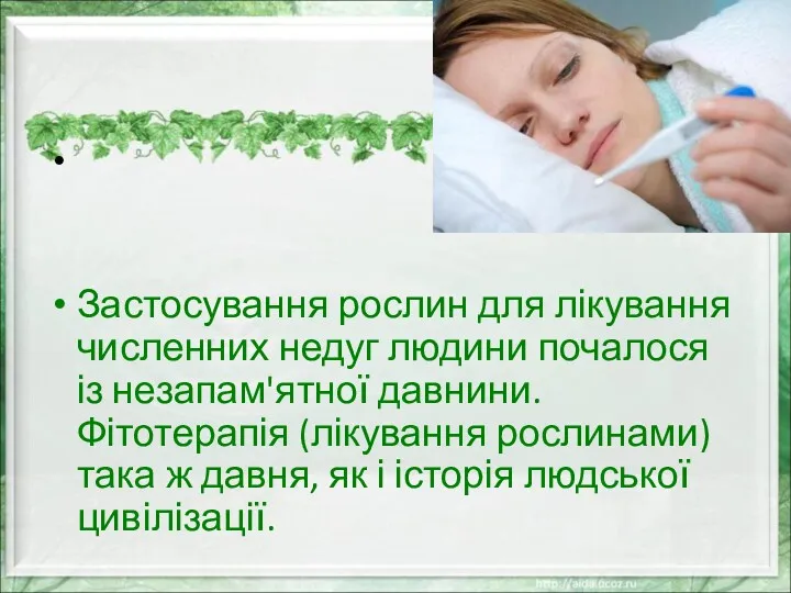 Застосування рослин для лікування численних недуг людини почалося із незапам'ятної