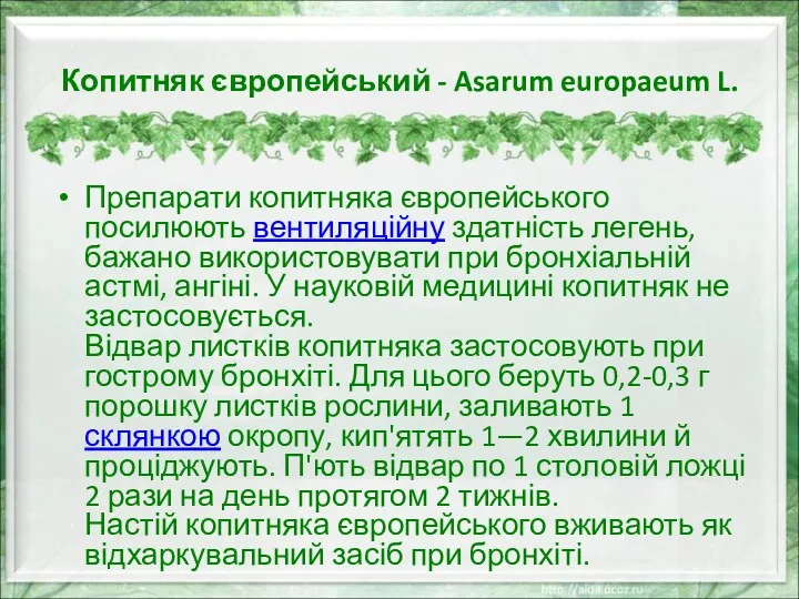 Копитняк європейський - Asarum europaeum L. Препарати копитняка європейського посилюють