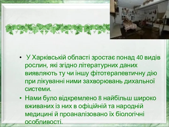 У Харківській області зростає понад 40 видів рослин, які згідно