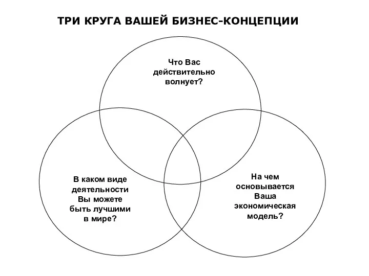 ТРИ КРУГА ВАШЕЙ БИЗНЕС-КОНЦЕПЦИИ Что Вас действительно волнует? В каком