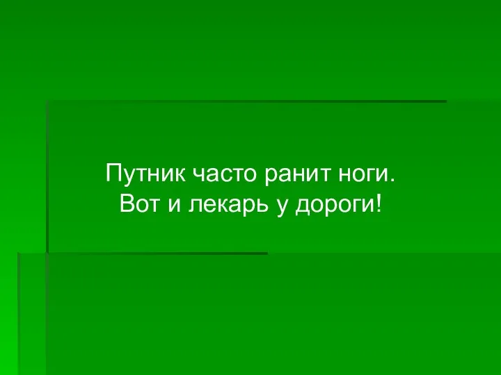 Путник часто ранит ноги. Вот и лекарь у дороги!