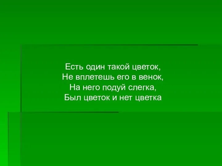 Есть один такой цветок, Не вплетешь его в венок, На