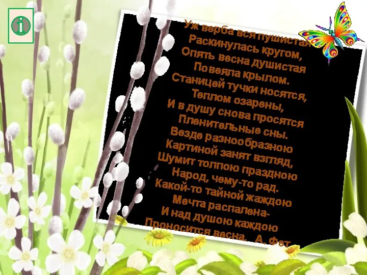 Уж верба вся пушистая Раскинулась кругом, Опять весна душистая Повеяла крылом. Станицей тучки