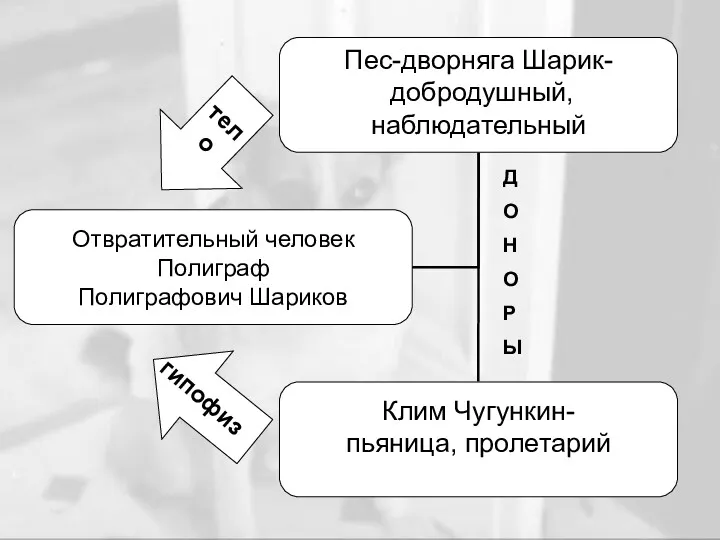 гипофиз тело Д О Н О Р Ы