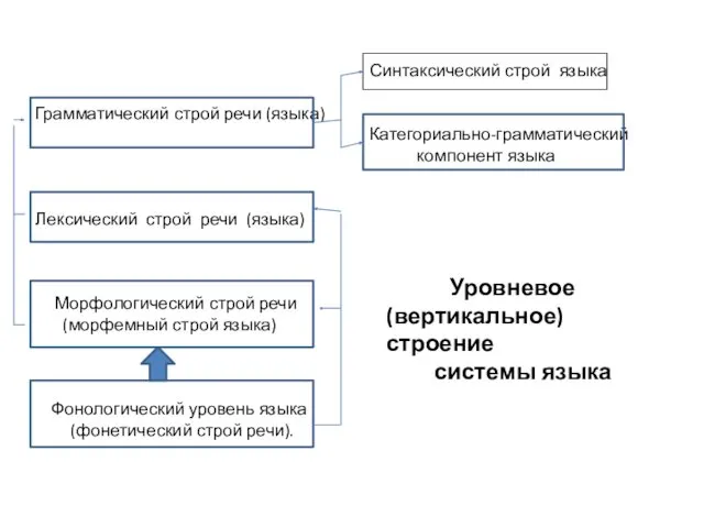 Синтаксический строй языка Грамматический строй речи (языка) Категориально-грамматический компонент языка