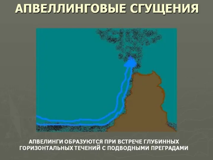 Сарга́сс, или Саргассум, или Саргассовые водоросли, или «морской виноград»