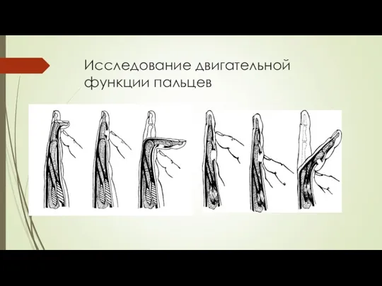 Исследование двигательной функции пальцев