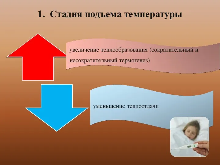 1. Стадия подъема температуры