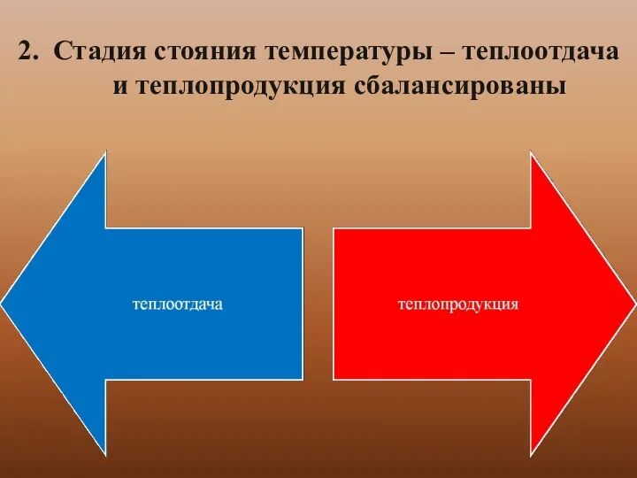 2. Стадия стояния температуры – теплоотдача и теплопродукция сбалансированы