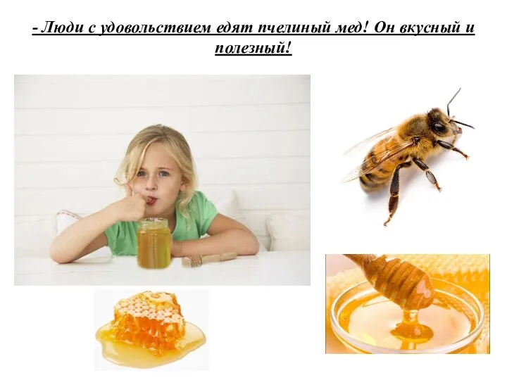 - Люди с удовольствием едят пчелиный мед! Он вкусный и полезный!
