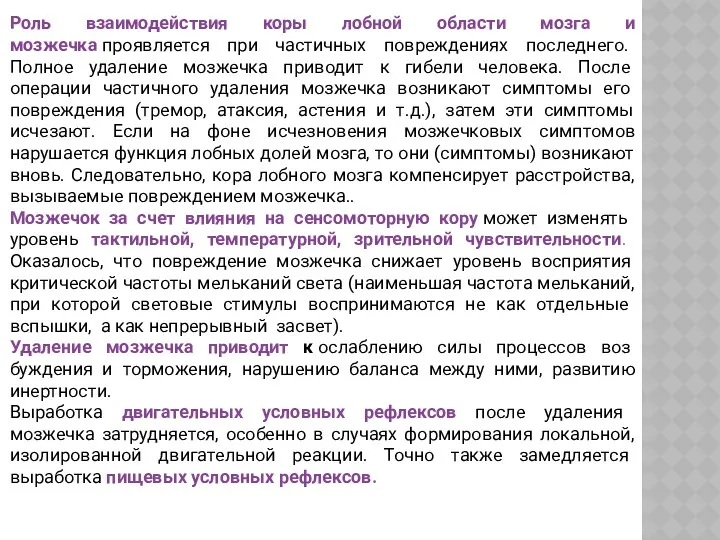 Роль взаимодействия коры лобной области мозга и мозжечка проявляется при