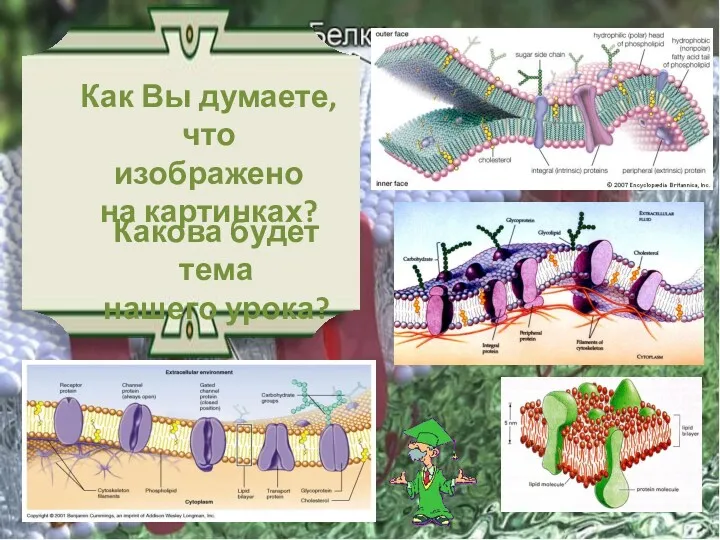 Как Вы думаете, что изображено на картинках? Какова будет тема нашего урока?