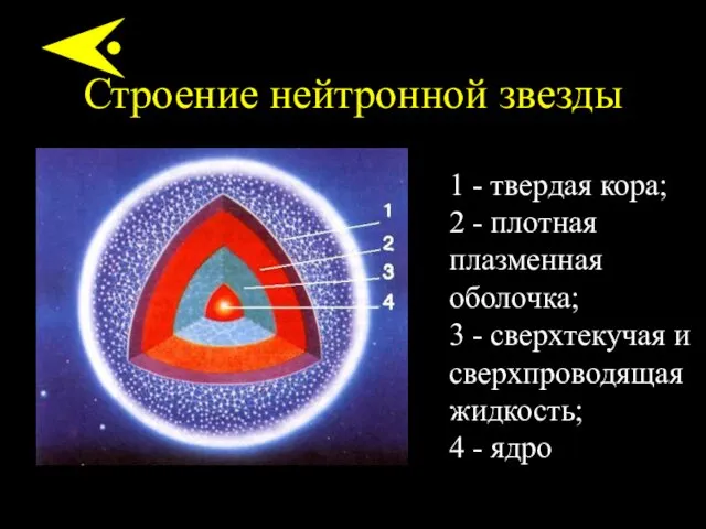 Строение нейтронной звезды 1 - твердая кора; 2 - плотная плазменная оболочка; 3