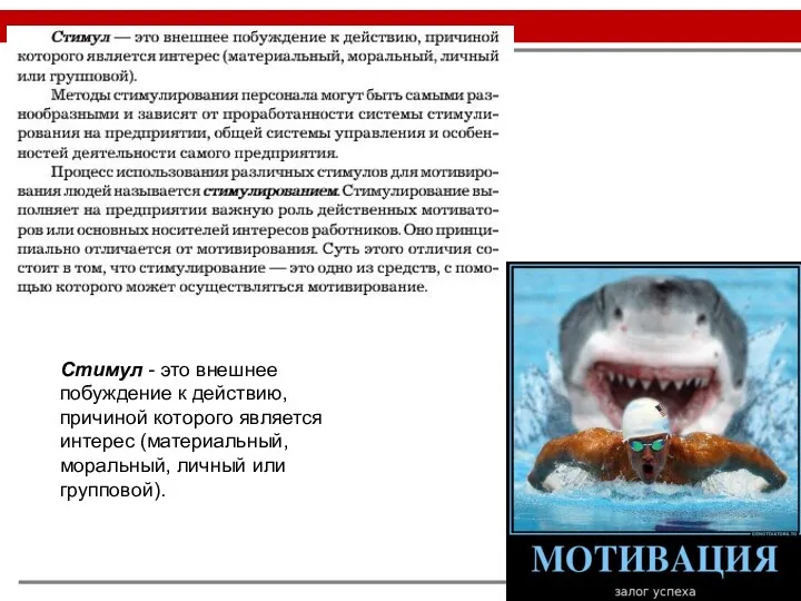 Стимул - это внешнее побуждение к действию, причиной которого является интерес (материальный, моральный, личный или групповой).