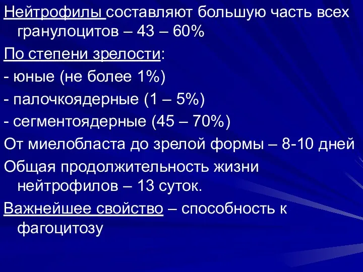 Нейтрофилы составляют большую часть всех гранулоцитов – 43 – 60%