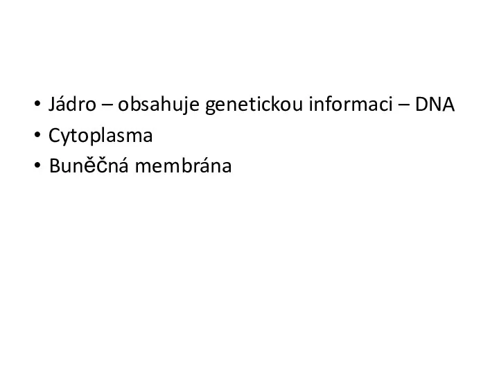 Jádro – obsahuje genetickou informaci – DNA Cytoplasma Buněčná membrána