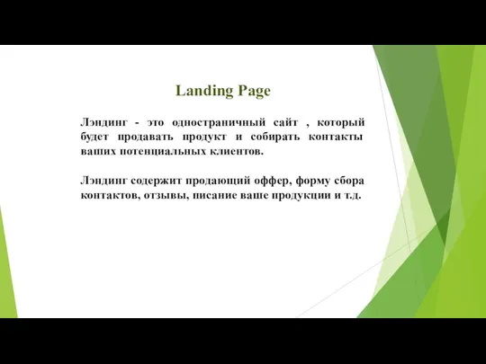 Landing Page Лэндинг - это одностраничный сайт , который будет