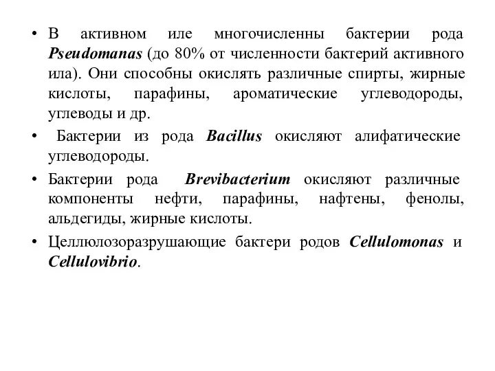 В активном иле многочисленны бактерии рода Pseudomanas (до 80% от