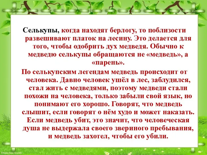 Селькупы, когда находят берлогу, то поблизости развешивают платок на лесину.