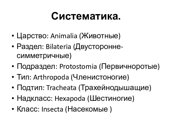 Систематика. Царство: Animalia (Животные) Раздел: Bilateria (Двусторонне-симметричные) Подраздел: Protostomia (Первичноротые)