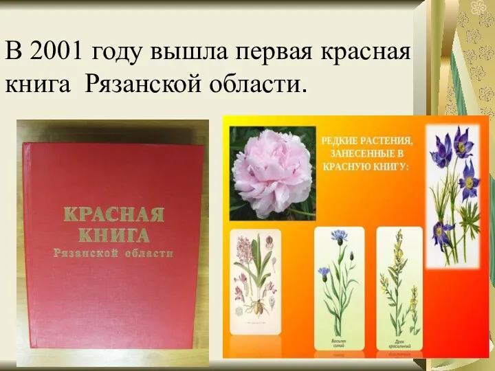 В 2001 году вышла первая красная книга Рязанской области.