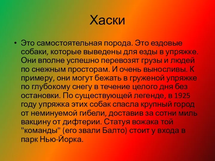 Хаски Это самостоятельная порода. Это ездовые собаки, которые выведены для