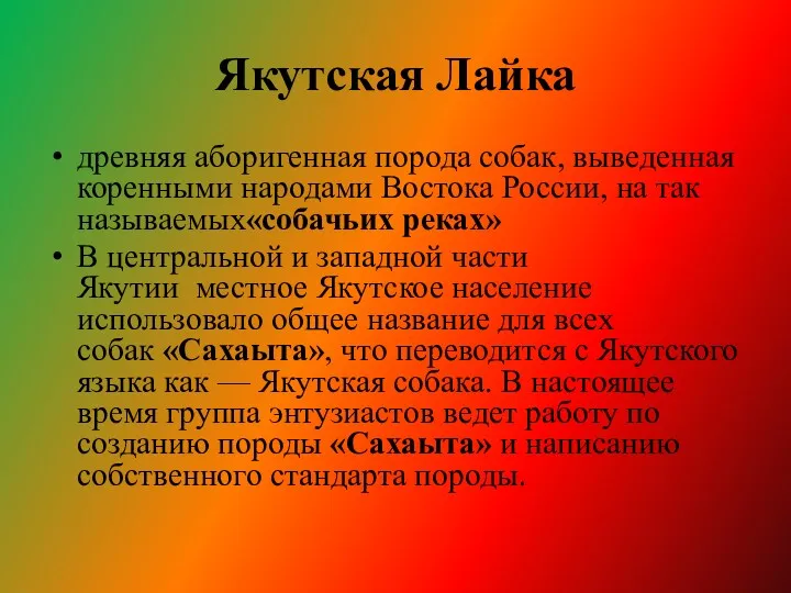 Якутская Лайка древняя аборигенная порода собак, выведенная коренными народами Востока