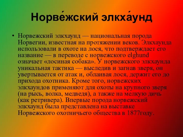 Норве́жский элкха́унд Норвежский элкхаунд — национальная порода Норвегии, известная на