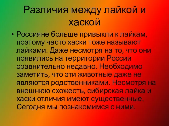 Различия между лайкой и хаской Россияне больше привыкли к лайкам,