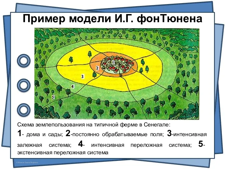 Пример модели И.Г. фонТюнена Схема землепользования на типичной ферме в