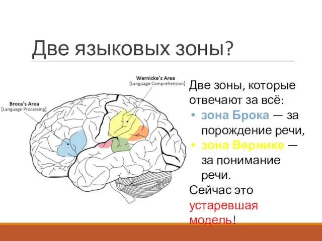 Две языковых зоны? Две зоны, которые отвечают за всё: зона